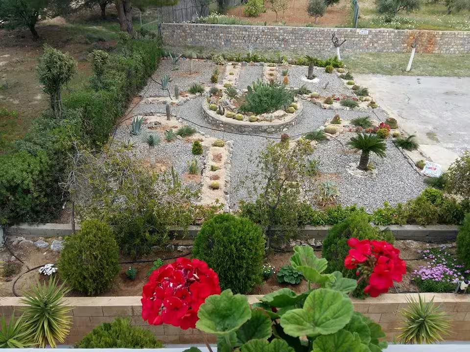 George Beach Studios & Villas