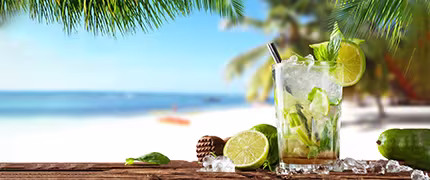 Summer Holidays