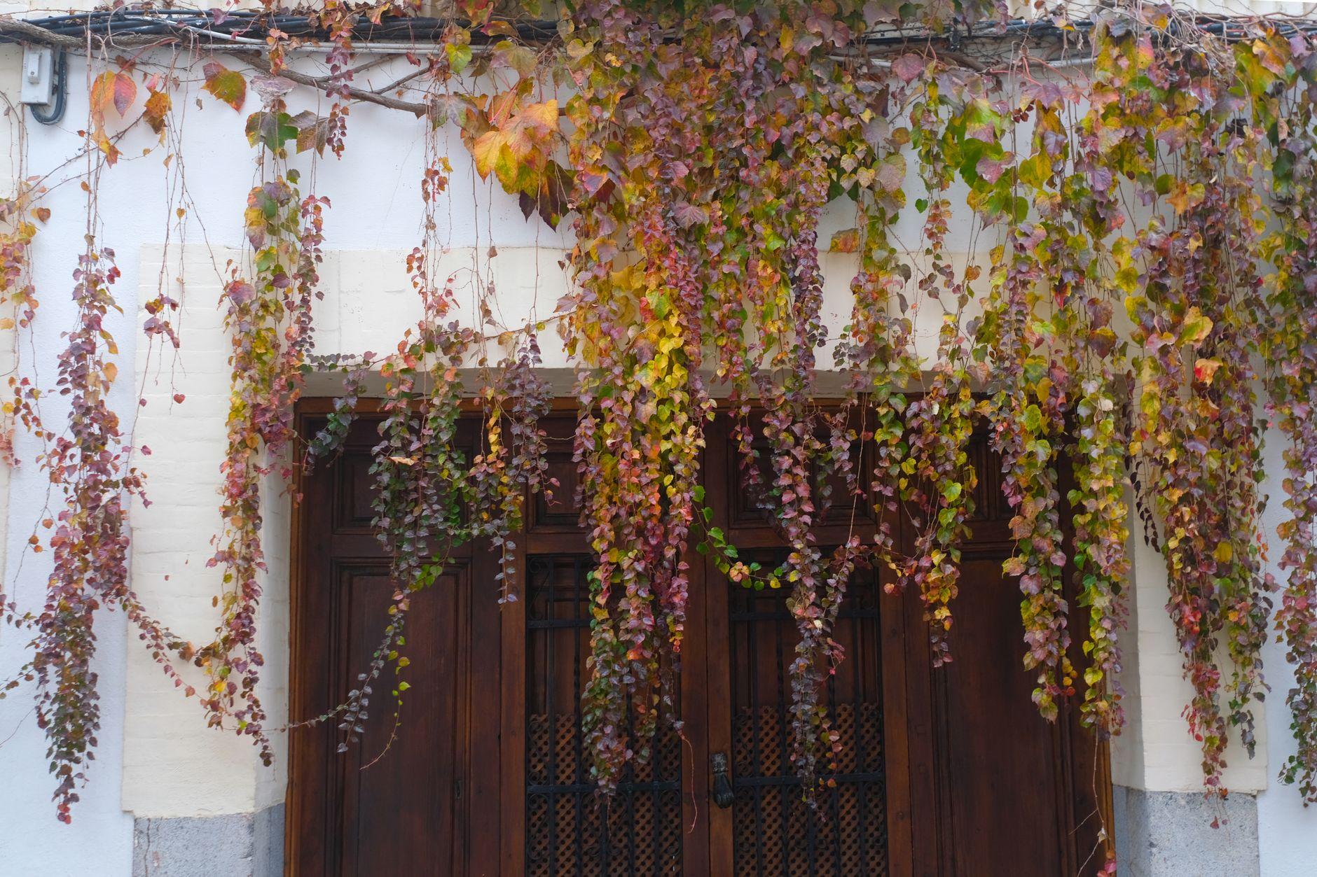 Spain, Spain