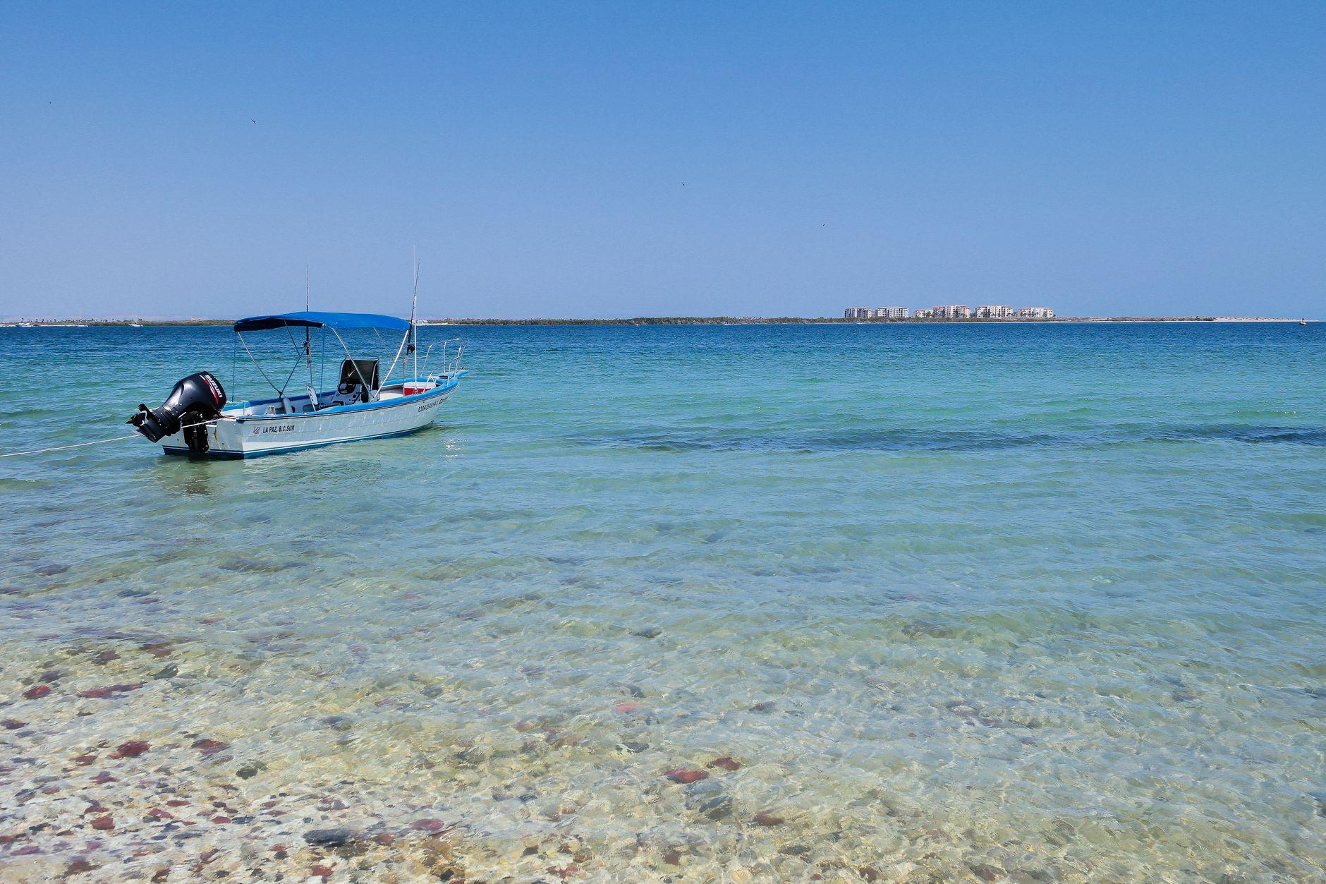 Nabq Bay, Egypt
