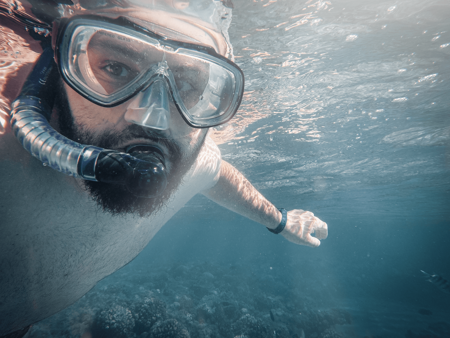 Diving Holidays to Egypt โ Egypt