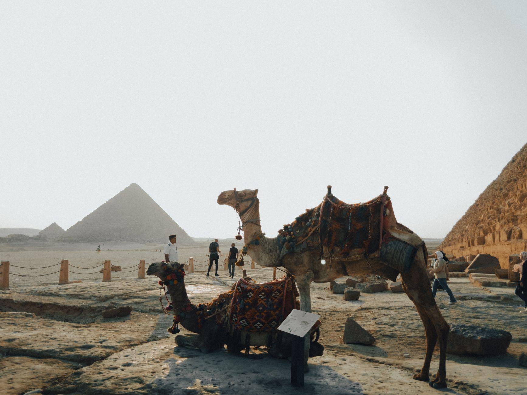 Egypt Holidays in January โ Egypt