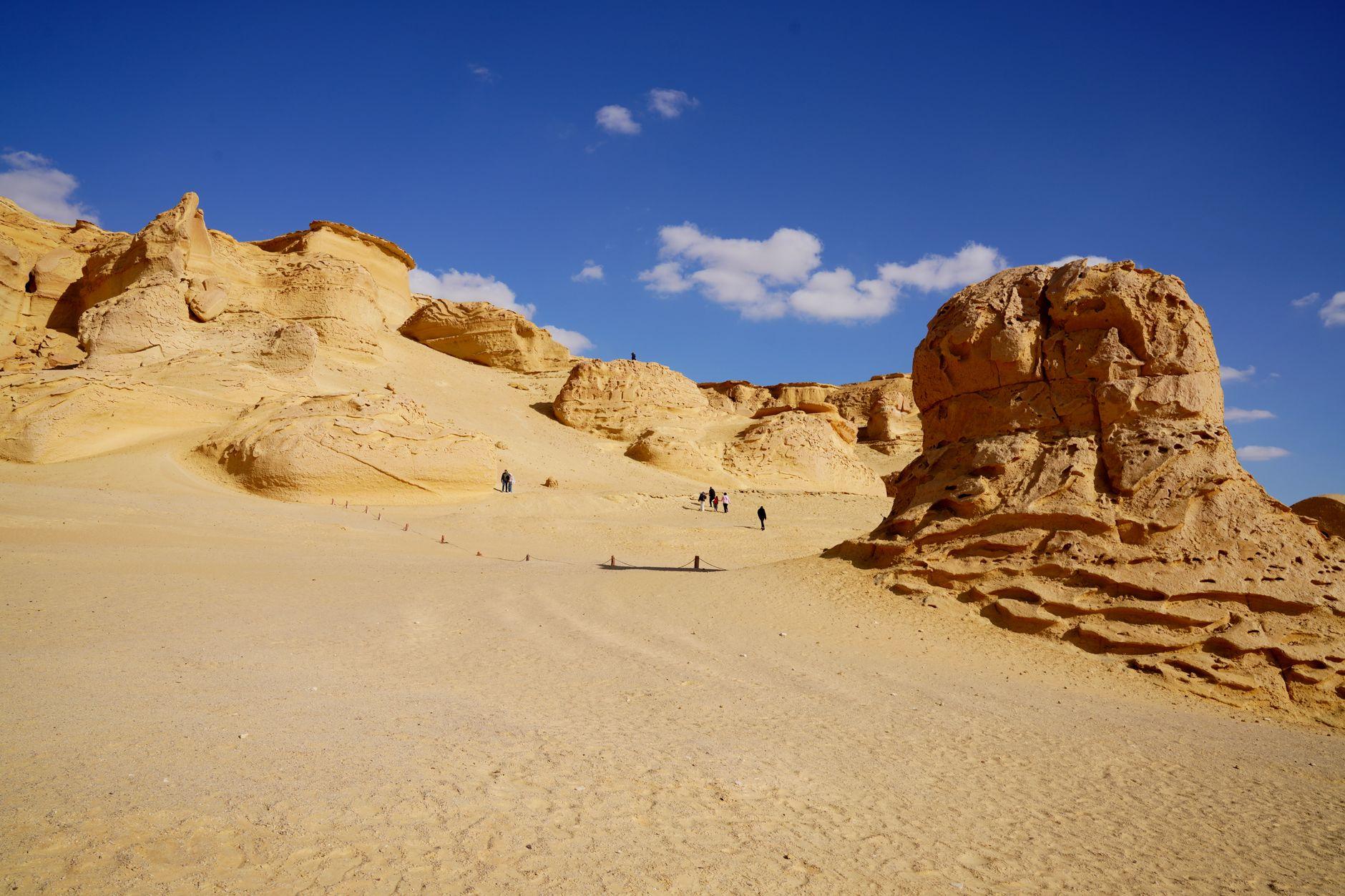 Wadi El Gemal, Egypt