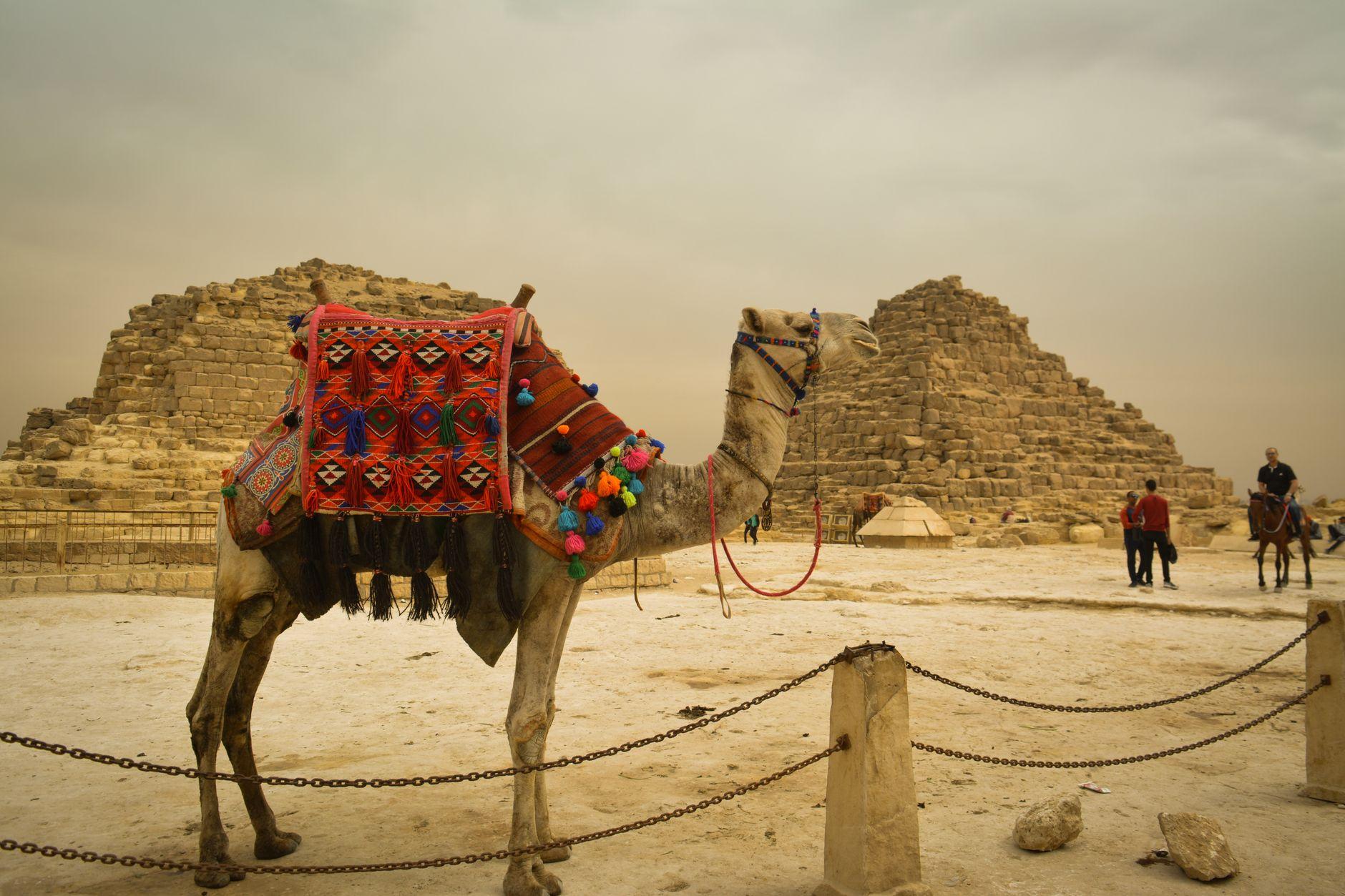 Egypt Holidays in October
