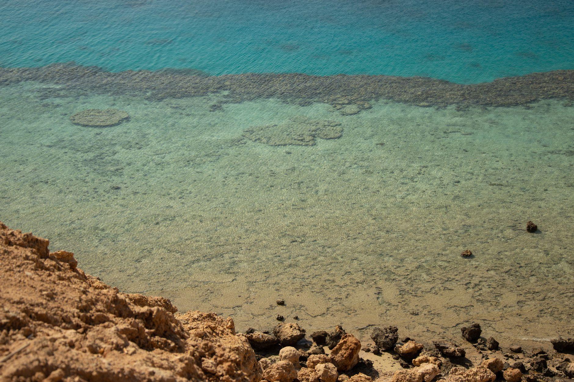 Abu Dabbab Bay, Egypt