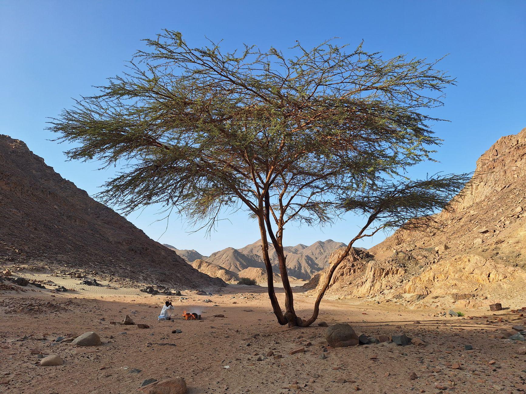 Marsa Alam, Egypt