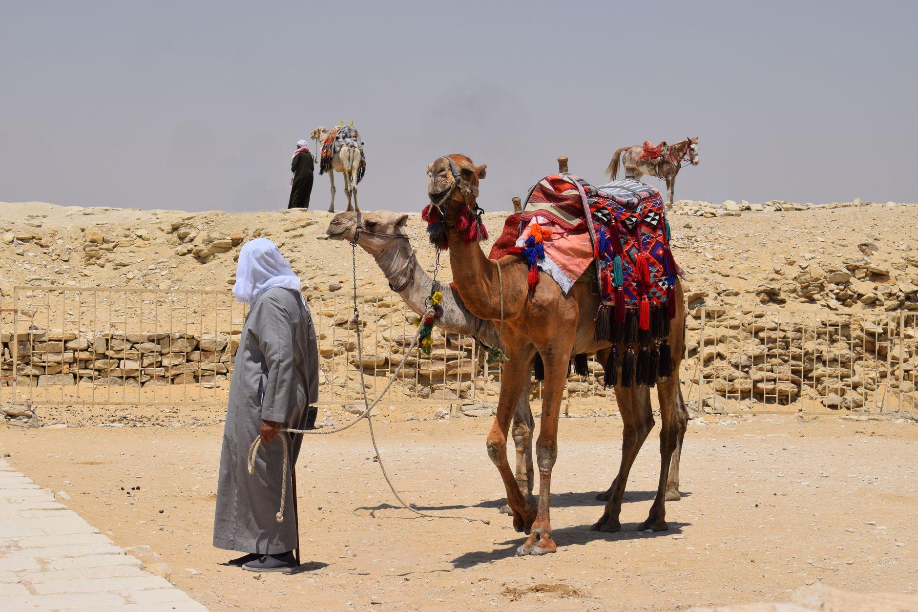 Holidays to Egypt under €300 — Egypt