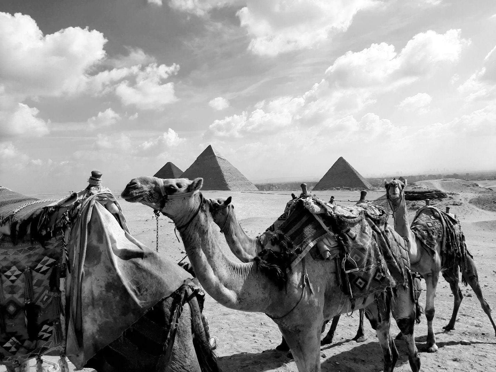 Holidays to Egypt under €700