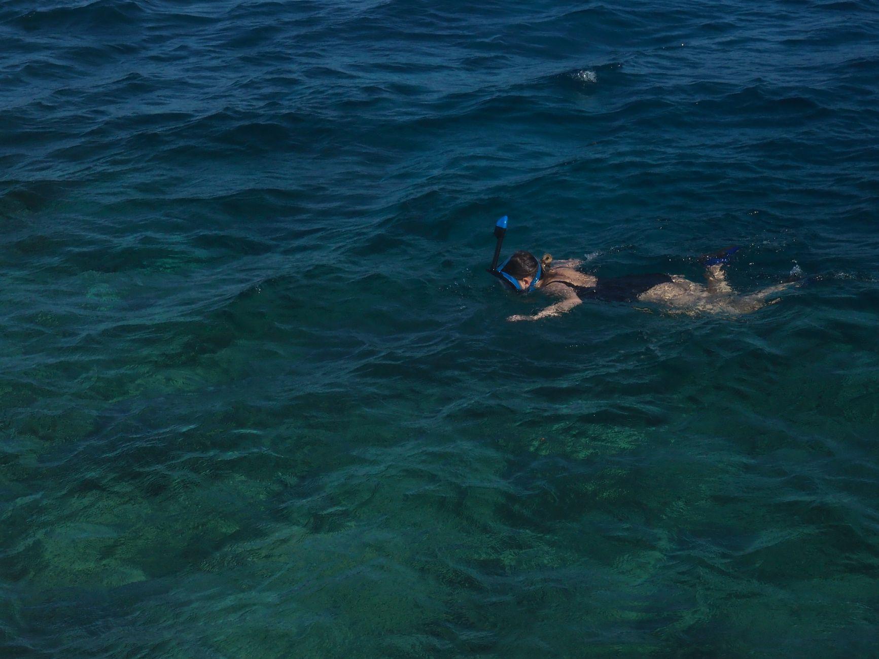 Snorkelling Holidays to Egypt โ Egypt