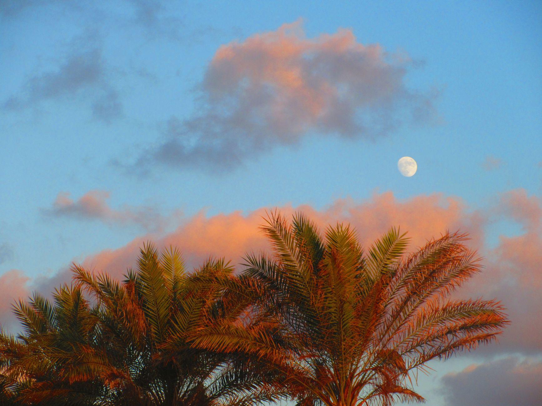 Marsa Alam, Egypt