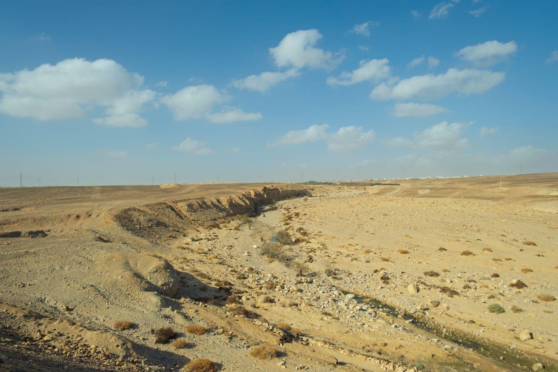 Wadi El Gemal, Egypt