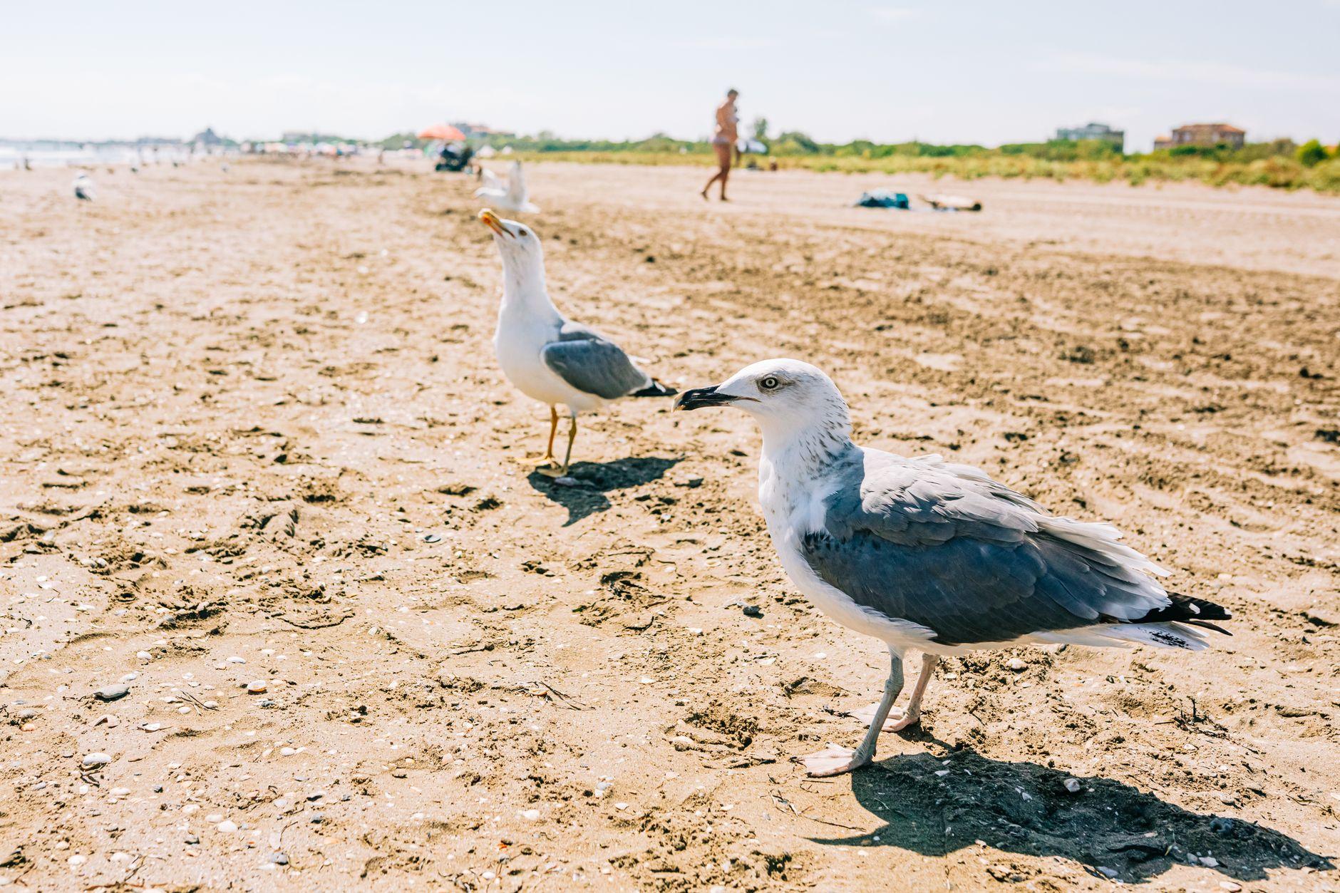 Bibione, Italy