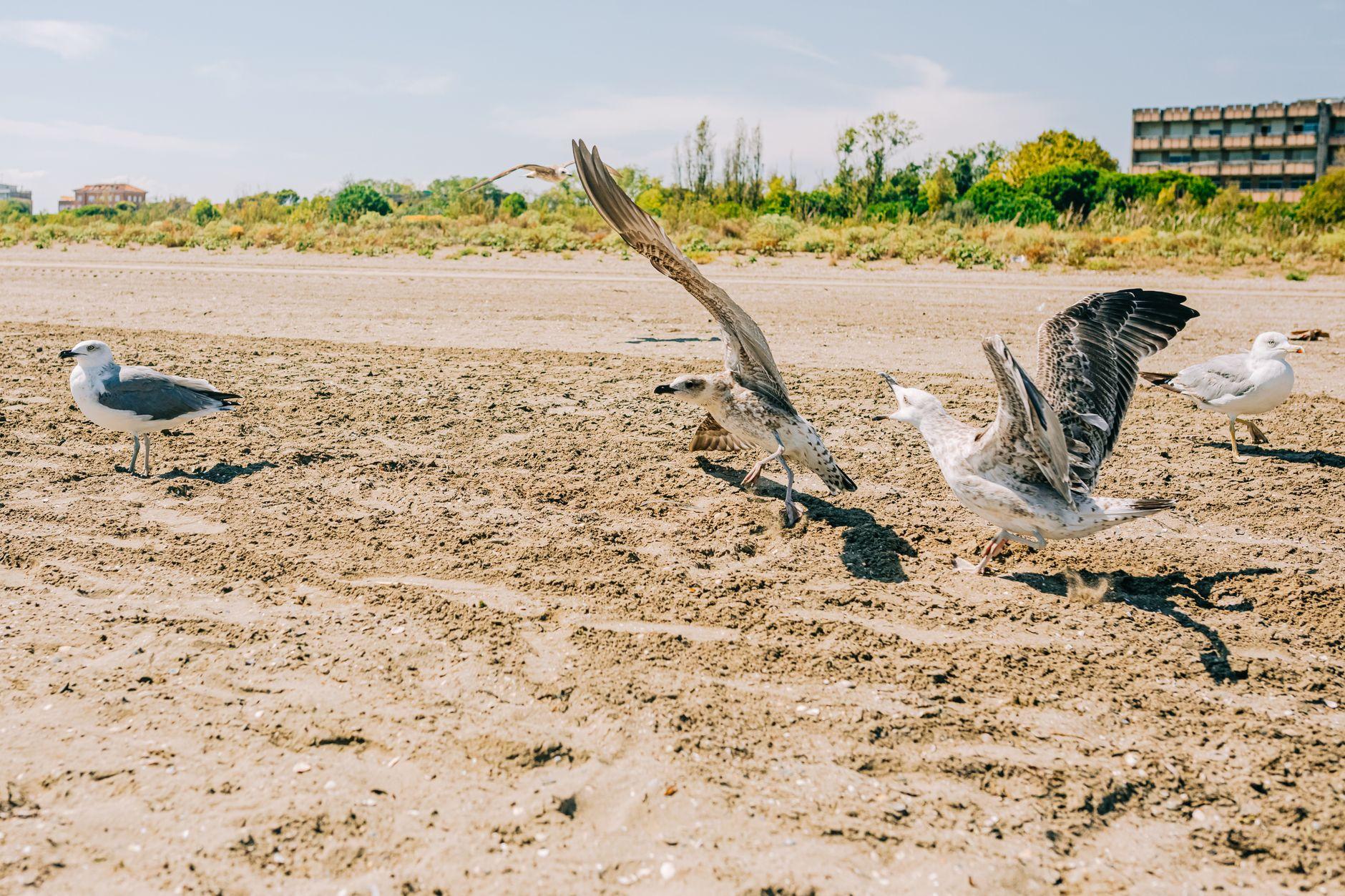 Bibione, Italy