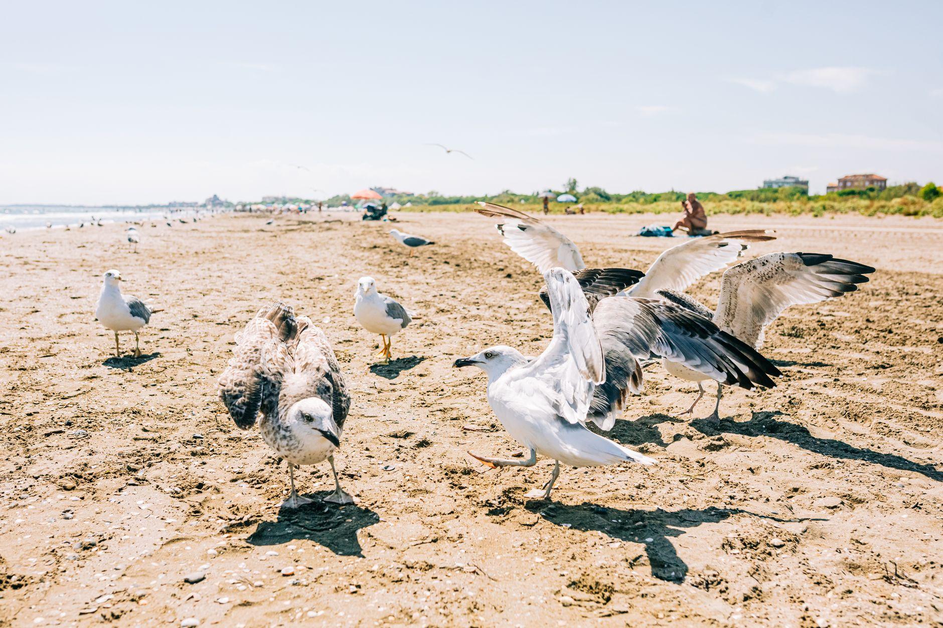 Bibione, Italy